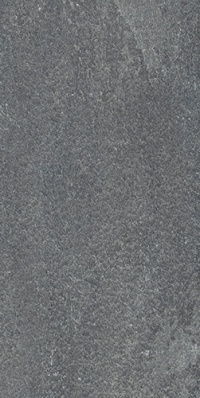 DD204000R Про Нордик серый темный обрезной 30*60 керамический гранит