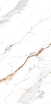 Delhi Polished Gold Carvingi 60x120 Керамогранит Realistik