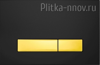 Меркурий PN44831BG, черный/золото Клавиша смыва Point