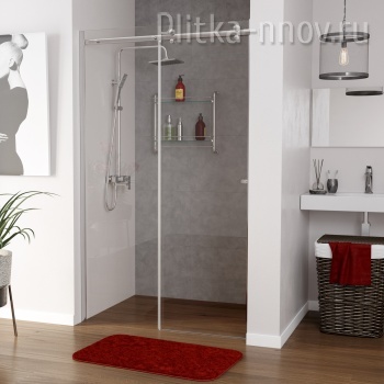 Vils 56R12 100 WasserKRAFT Душевая дверь