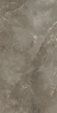 Керамогранит Стелларис Тусканиа Грэй 80x160 рет. (610010002843) Керамогранит Стелларис Тусканиа Грэй 80x160 рет. (610010002843)