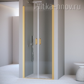 Passage PA-104Gb 120 RGW душ. дверь