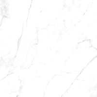 CALACATTA DOMINO Polished 60х60 50090 керамогранит A-Ceramica