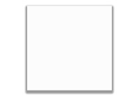Керамогранит Absolut Keramika Element (Esencia) Blanco 25x25
