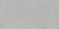 FlakeCement Серый Мат 60х120 K947893R0001VTSP