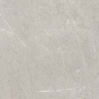 Ebri Gris 60x60