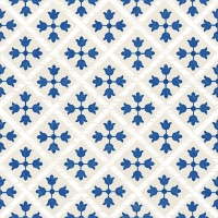 Guadalupe Blue 18.7х18.7 Monopole