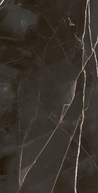 Керамогранит Стелларис Абсолют Блэк 80x160 рет. (610010002844) Керамогранит Стелларис Абсолют Блэк 80x160 рет. (610010002844)