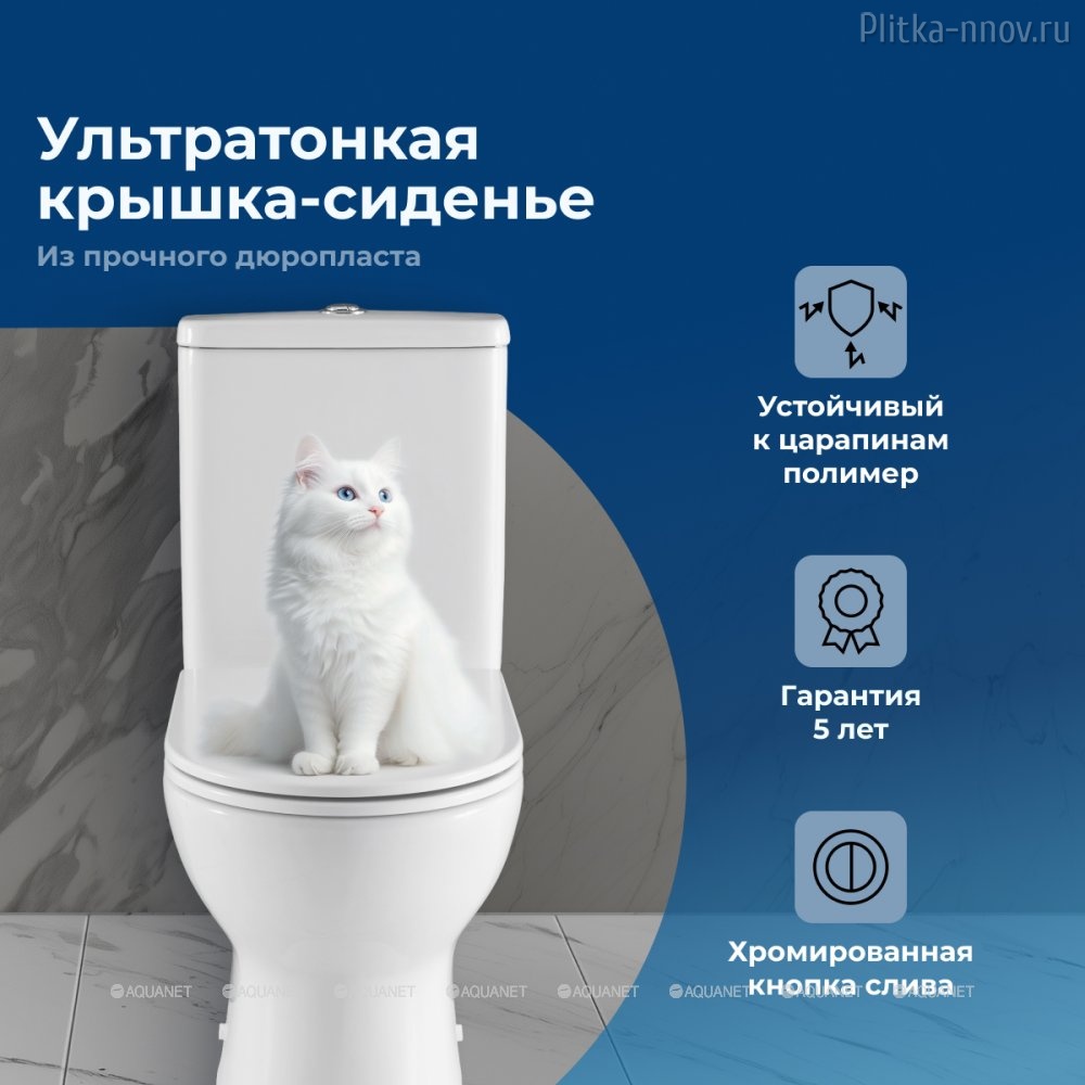 Ray-C Aquanet унитаз напольный Ray-C Aquanet унитаз напольный