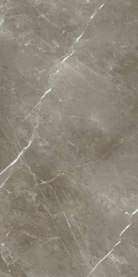 Керамогранит Стелларис Тусканиа Грэй 60x120 рет. (610010002836) Керамогранит Стелларис Тусканиа Грэй 60x120 рет. (610010002836)