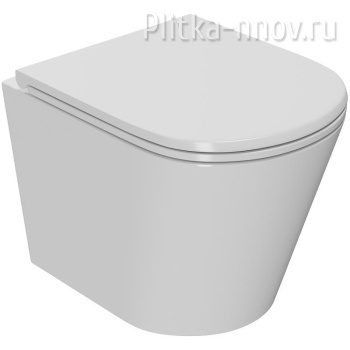 Виктория PN41061 безободковый, сиденье микролифт Унитаз подвесной Point