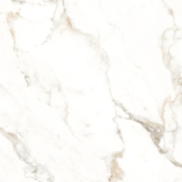 BERNINI GOLD 60х60 Glossy Керамогранит Azario