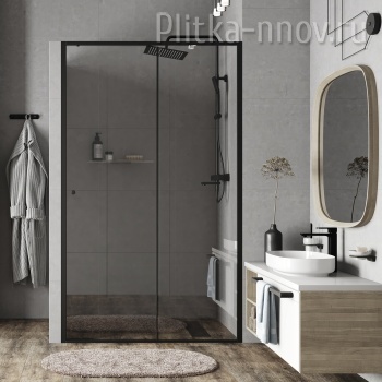 Dill 61S31 140 Душевая дверь WasserKRAFT 