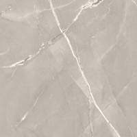 ARMANI Grey Silk 60х60 49498 керамогранит A-Ceramica