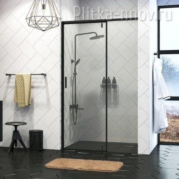 Elbe 74P04 90 черный Душевая дверь Wasserkraft