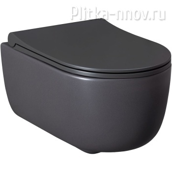 Priority 4.31002.AN антрацит Унитаз подвесной с крышкой Allen Brau Priority 4.31002.AN антрацит Унитаз подвесной с крышкой Allen Brau