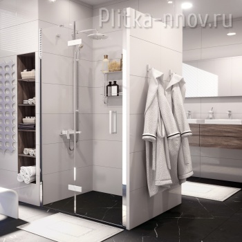 Aller 10H05L WHITE 120 WasserKRAFT Душевая дверь