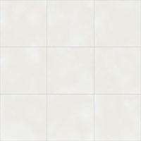 Vienna White Natural 59.2x59.2 Керамогранит Aparici