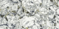 F.d.M.Quark Ceppo Ap. Forest Rett 80x160 (610010002960) керамогранит