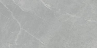 Керамогранит Ниагара 6260-0005 30x60 серый
