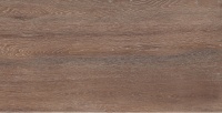 Amazon Wood Brown 60х120 Matt Foresta Керамогранит Staro