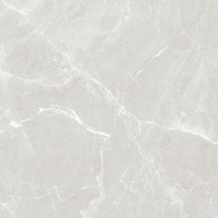 SMOKEY GREY  60х60 Glossy Керамогранит Azario