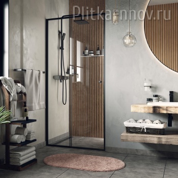 Dill 61S12 100 Душевая дверь WasserKRAFT 