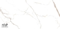 Barbara White mat NTT9122M 60х120 Bright and Shiny Керамогранит NT Ceramic