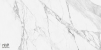 Marmo NTT99528P 60х120 Artic statuario Glossy Керамогранит NTCeramic